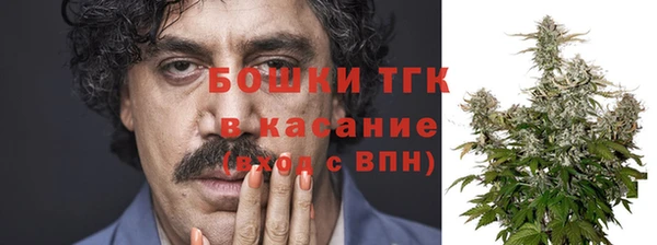 индика Верхний Тагил