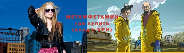 индика Верхний Тагил