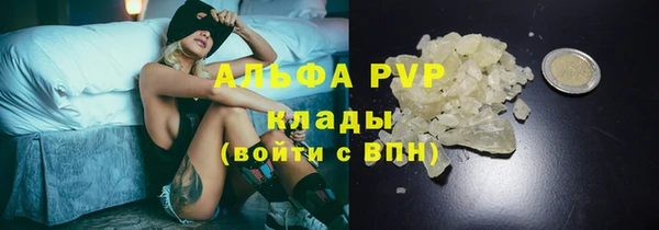 индика Верхний Тагил