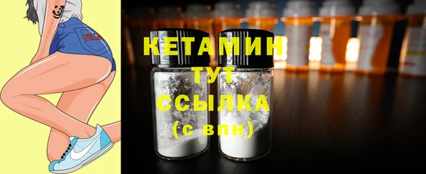 индика Верхний Тагил