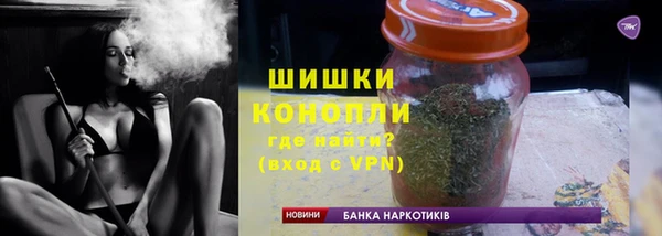 индика Верхний Тагил