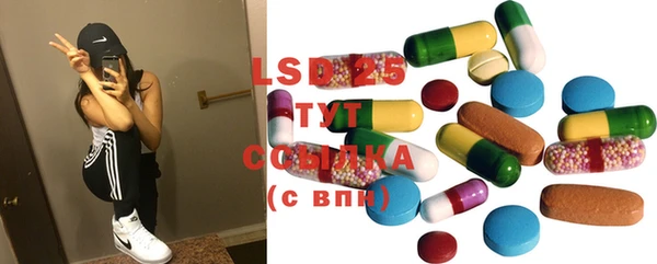 индика Верхний Тагил