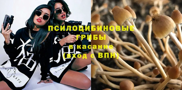 индика Верхний Тагил