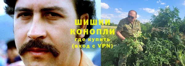 индика Верхний Тагил