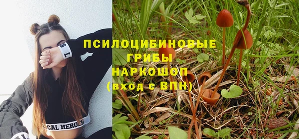 бутират Верея