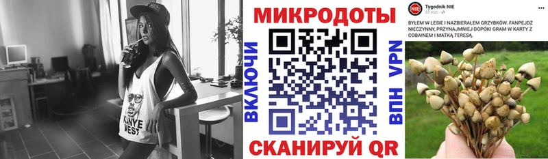 Псилоцибиновые грибы прущие грибы  наркота  Невьянск 