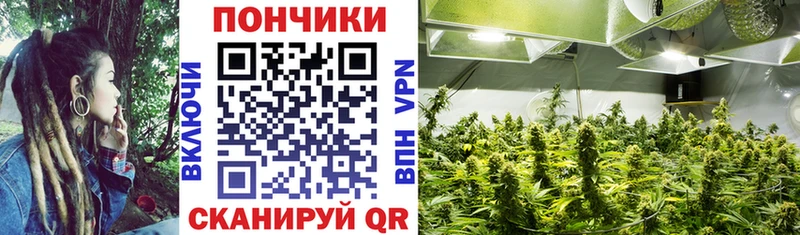 Шишки марихуана AK-47  Невьянск 